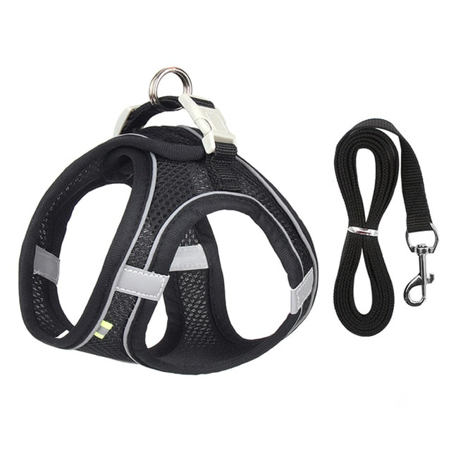 PetWalk Companion Harness and Leash Set for Small Dogs