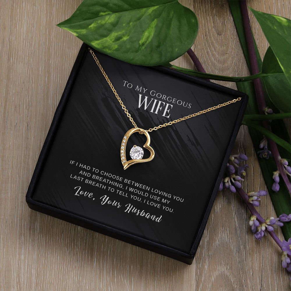 Forever Love Necklace For Wife 3